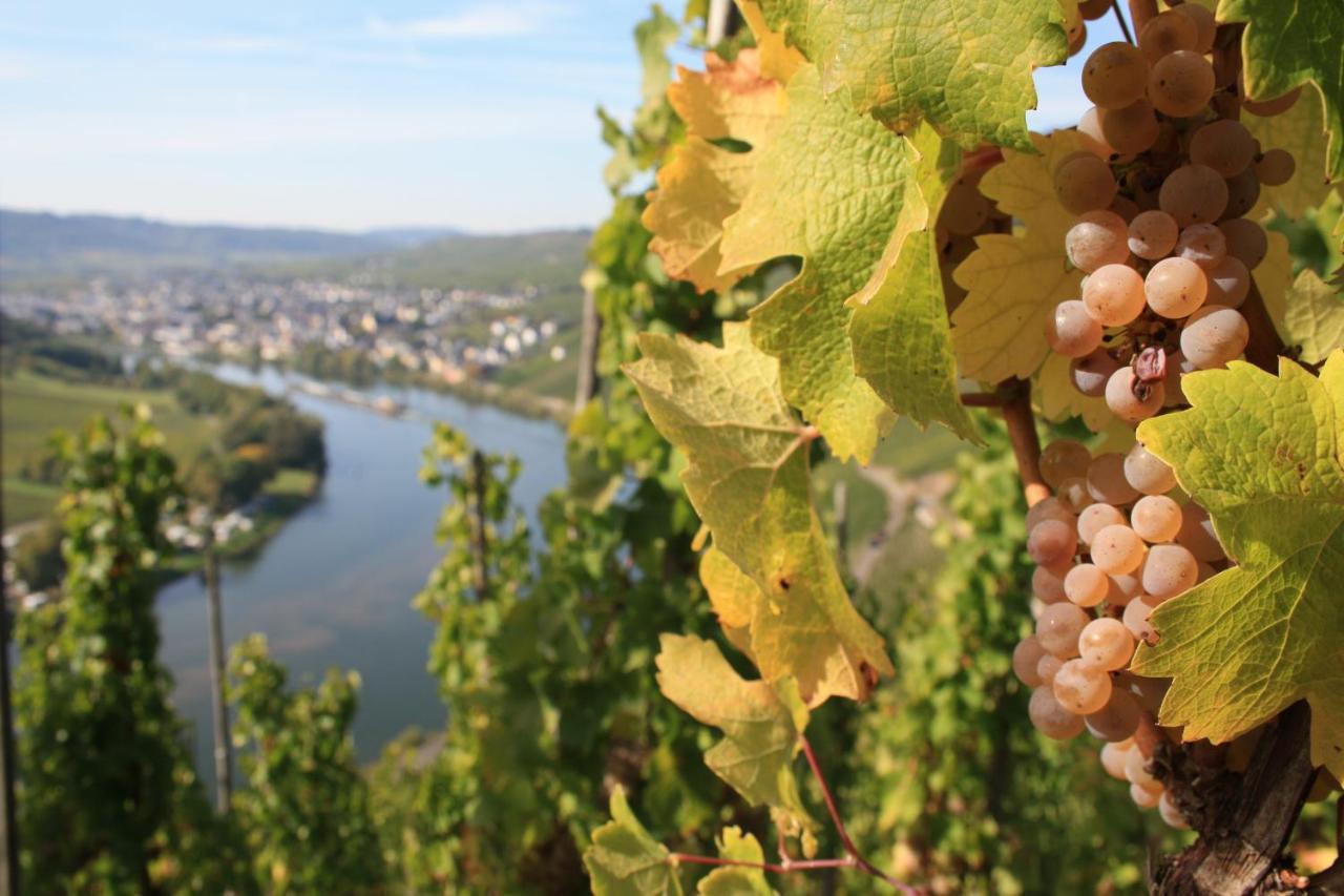 Weingut Markus Junglen 크로프 외부 사진