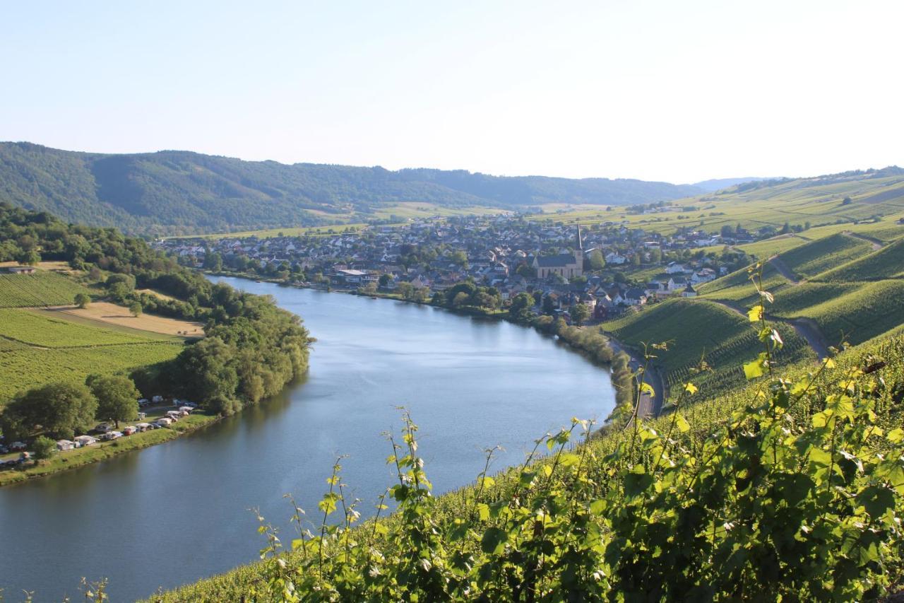 Weingut Markus Junglen 크로프 외부 사진